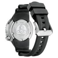 BN1024-01Z Prof. Diver 300