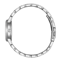 FE1241-71Z