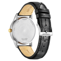 AW1784-16E Eco-Drive