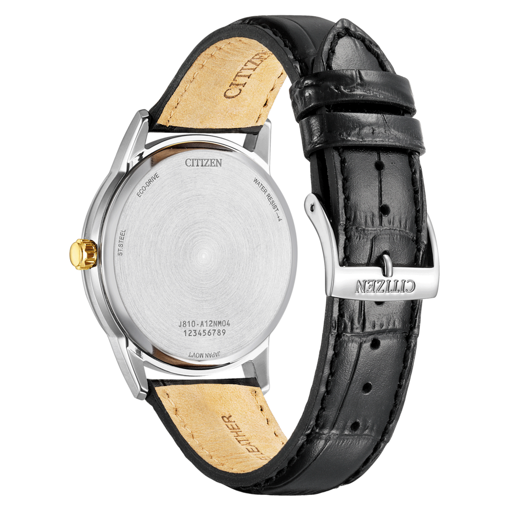 AW1784-16E Eco-Drive