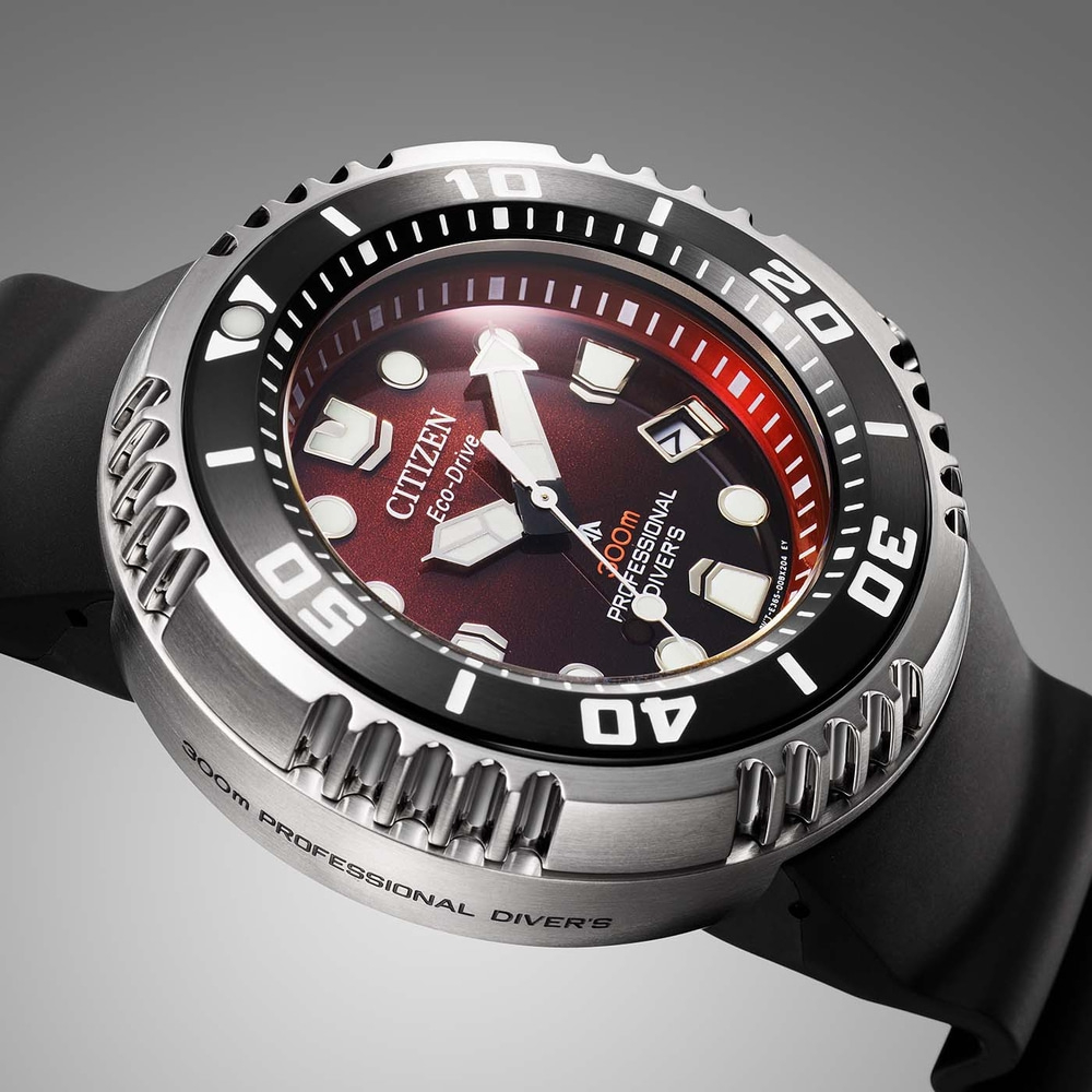 BN1024-01Z Prof. Diver 300