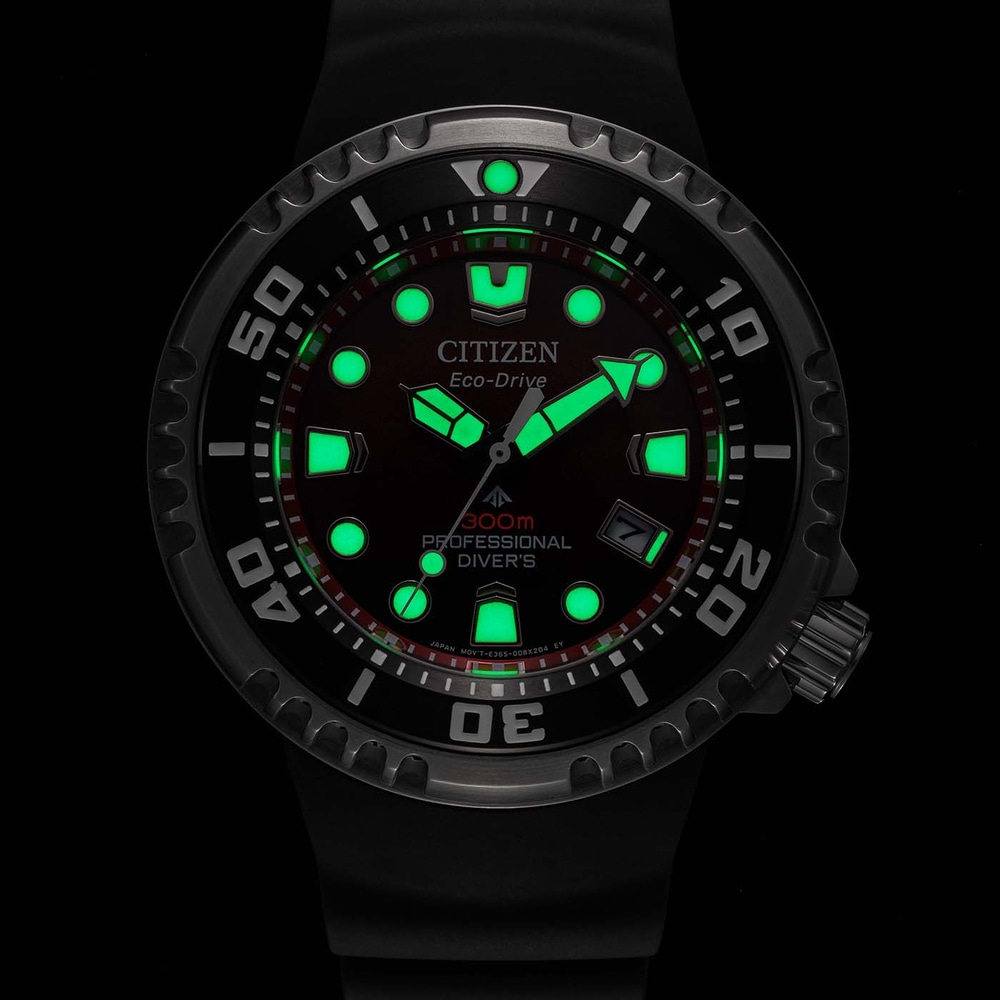 BN1024-01Z Prof. Diver 300