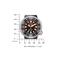 BN1024-01Z Prof. Diver 300