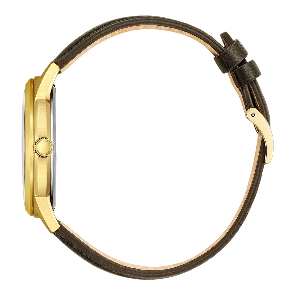Bild eines braunen Lederuhrenarmbands und einer goldenen Schnalle