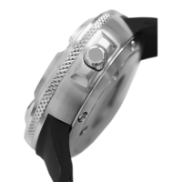 BJ8050-08E Promaster Professional Diver 300