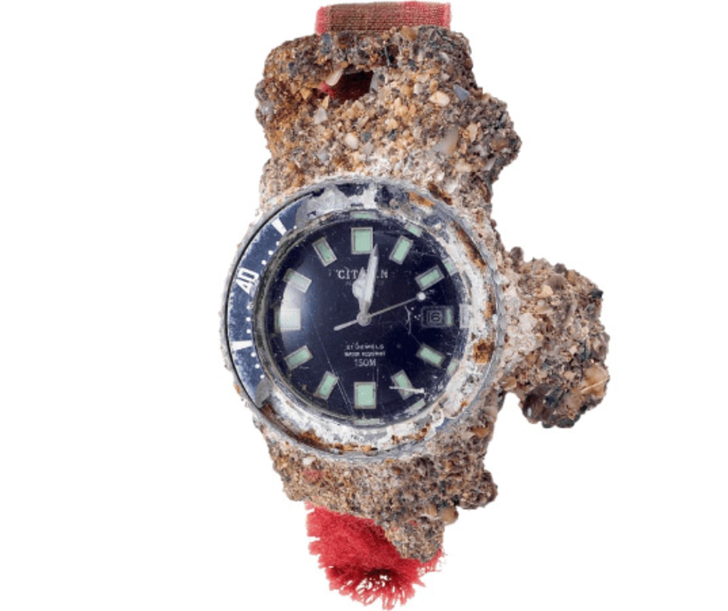 Eine verwitterte Citizen-Uhr, die in einer felsartigen Substanz eingeschlossen ist, mit schwarzem Zifferblatt.