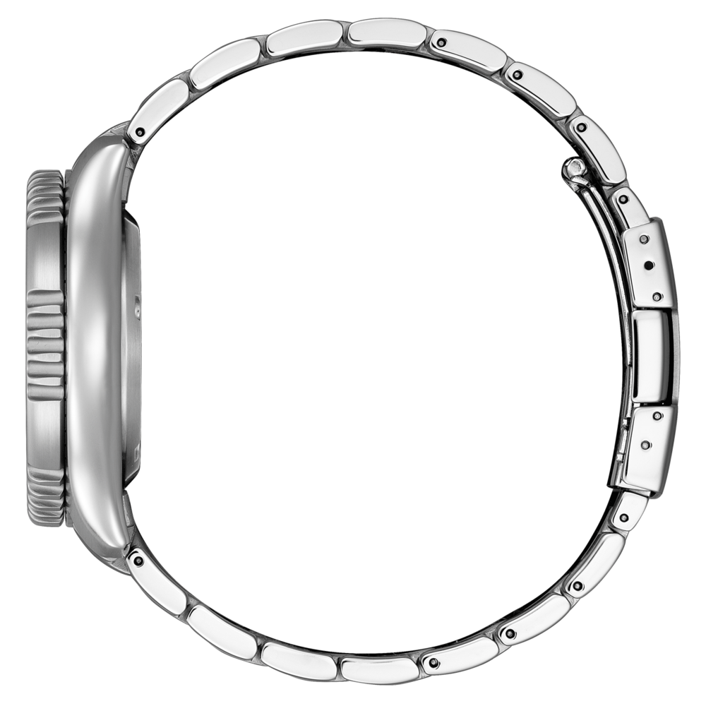 NY0161-63LE Promaster Marine