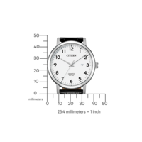 BI5070-06A