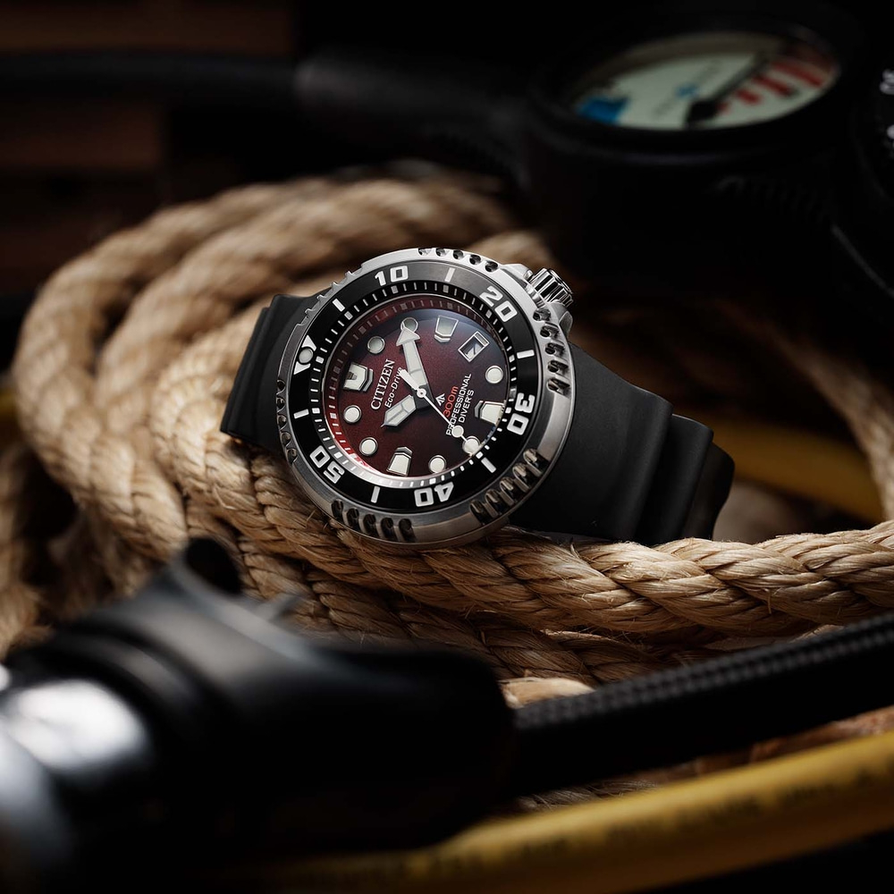 BN1024-01Z Prof. Diver 300