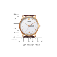 BM8553-16AE