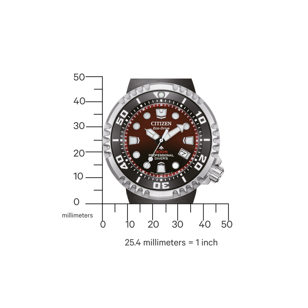 BN1024-01Z Prof. Diver 300