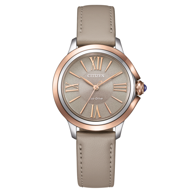 EM1166-01Z Citizen L