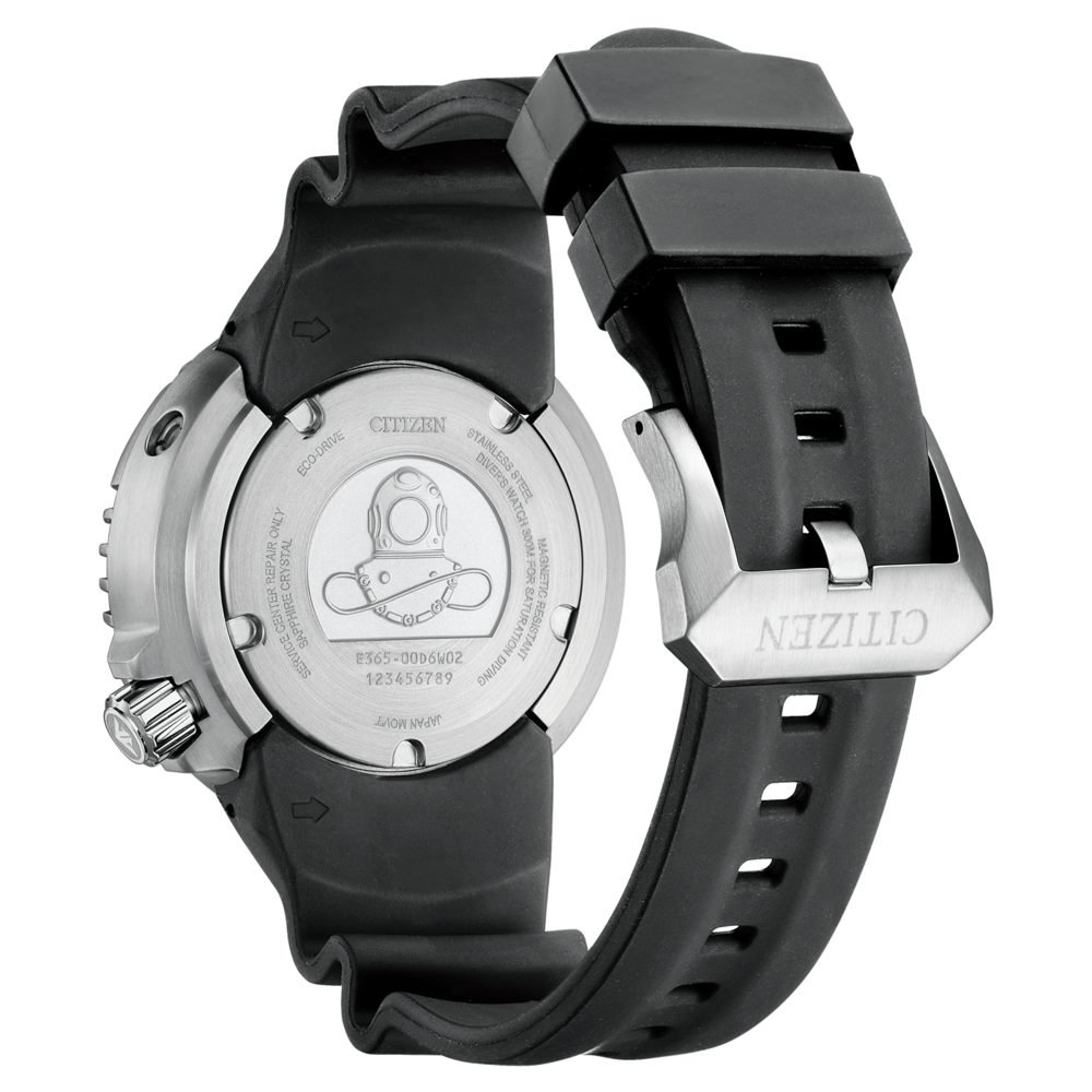 BN1024-01Z Prof. Diver 300