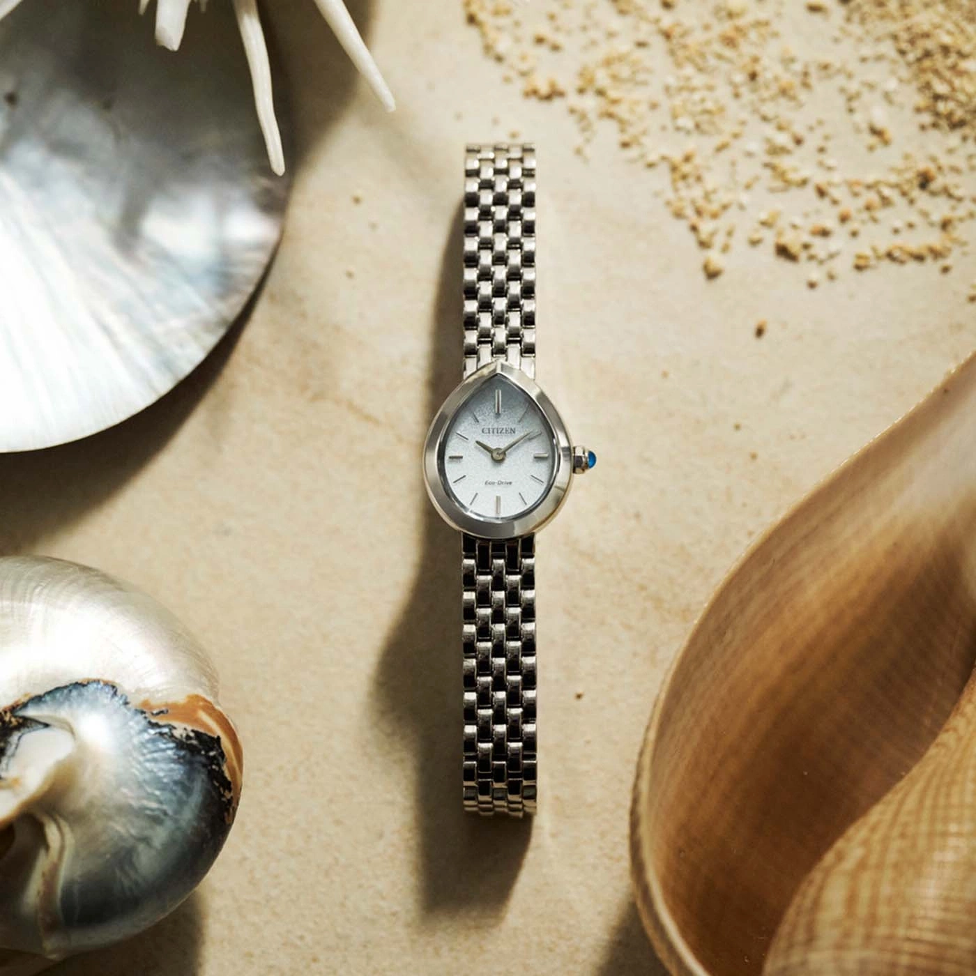 Eine Citizen Eco-Drive Uhr auf Muscheln und Sand.