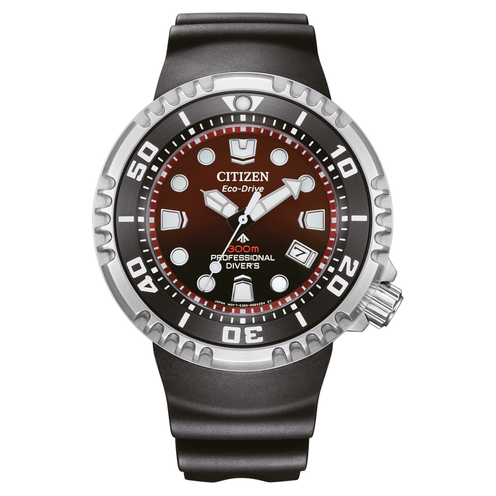 BN1024-01Z Prof. Diver 300