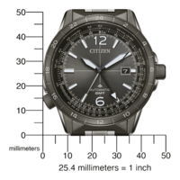 NB6045-51H Promaster Mechanical GMT