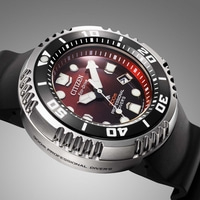 BN1024-01Z Prof. Diver 300